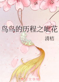 鸟鸟的历程之呲花