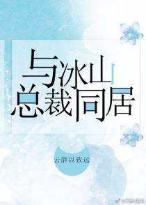 与冰山总裁同居+番外（一）