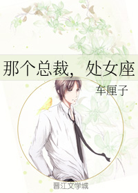 那个总裁，处女座