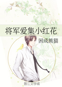 将军爱集小红花（下）