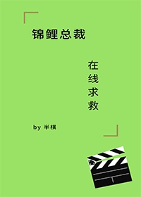锦鲤总裁，在线求救