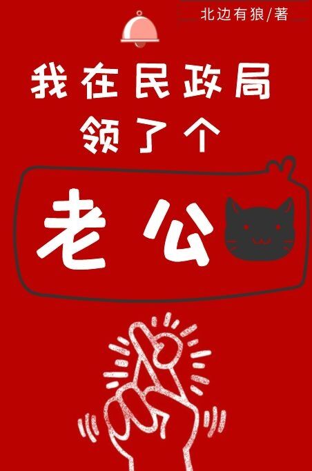 我在民政局领了个老公