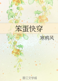 笨蛋快穿