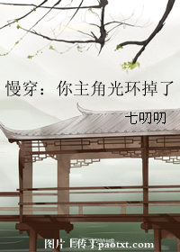 慢穿：你主角光环掉了