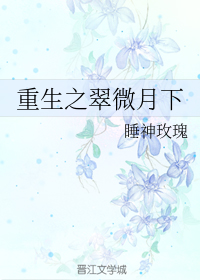 重生之翠微月下