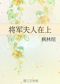 将军夫人在上