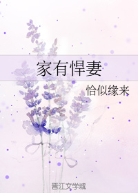 家有悍妻