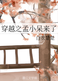 穿越之孟小呆来了