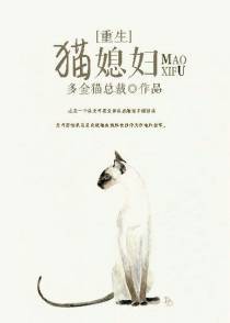 猫媳妇[重生]