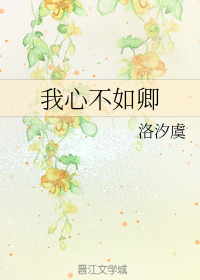 我心不如卿