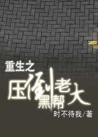 重生之压倒黑帮老大