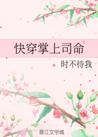 快穿掌上司命