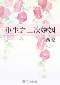 重生之二次婚姻