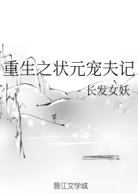 重生之状元宠夫记