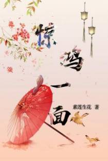 惊鸿一面主攻
