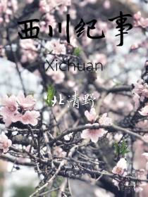 西川纪事