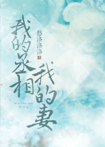 我的丞相我的妻（下）