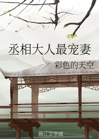 丞相大人最宠妻