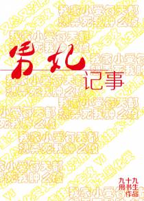 男妃记事