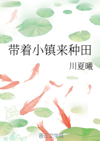 带着小镇来种田
