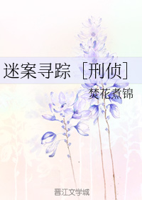 迷案寻踪［刑侦］
