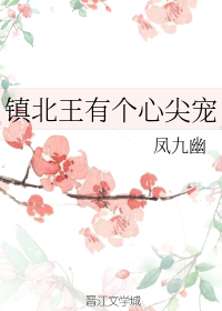镇北王有个心尖宠