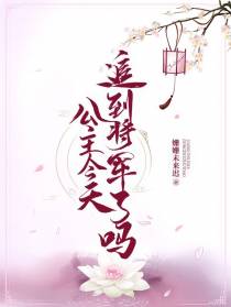 公主今天追到将军了吗