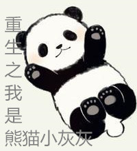 重生之我是熊猫小灰灰