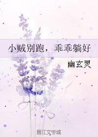 小贼别跑，乖乖躺好