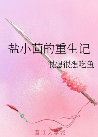 盐小茴的重生记