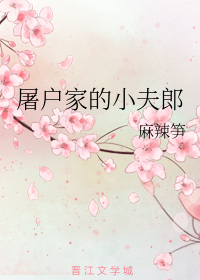 屠户家的小夫郎