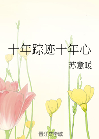 十年踪迹十年心