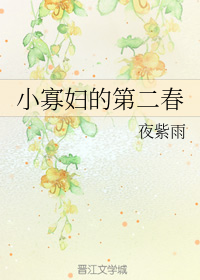 小寡妇的第二春