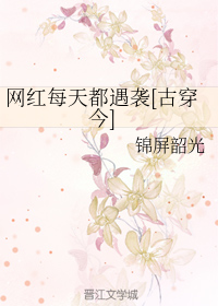 网红每天都遇袭[古穿今]