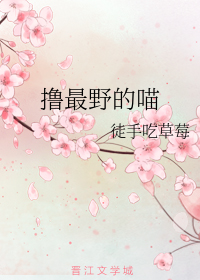 撸最野的喵
