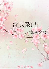 沈氏杂记