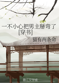 一不小心把男主掰弯了