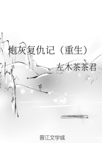 炮灰复仇记（重生）