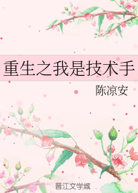 重生之我是技术手