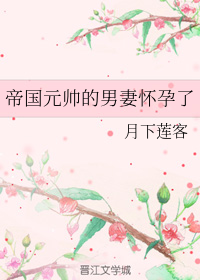 帝国元帅的男妻怀孕了