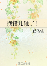 抱错儿砸了