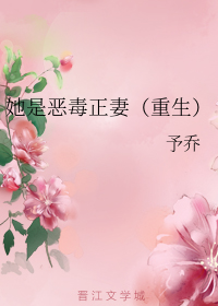 她是恶毒正妻（重生）