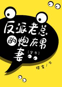 反派老总的炮灰男妻