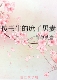 傻书生的庶子男妻