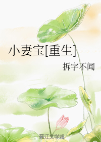 小妻宝[重生]