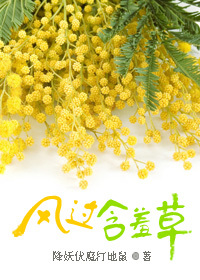 风过含羞草