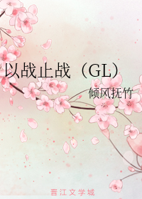 以战止战GL