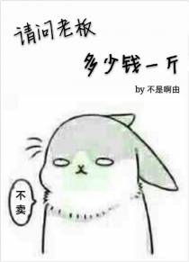 请问老板多少钱一斤