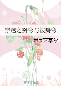 穿越之掰弯与被掰弯