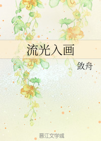 流光入画
